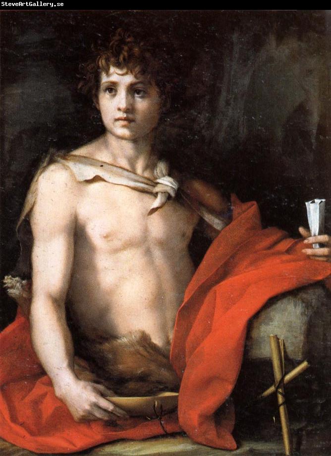 Andrea del Sarto The Young St.John